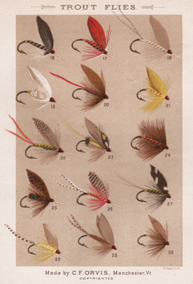 ANTIQUE PRINT OF FISHING FLIES FROM 1885